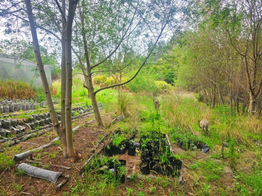 Commercial Property for Sale in Sedgefield Rural Western Cape